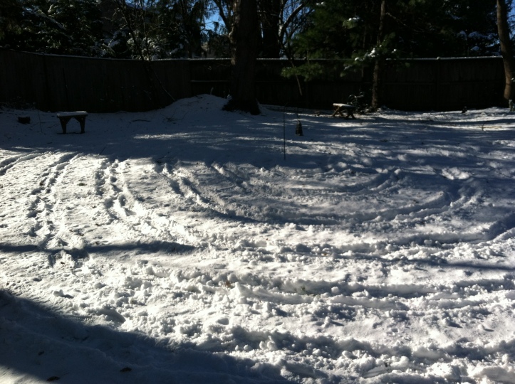 Labyrinth in the snow